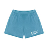 Apteka24x7 Logo Blue Mesh Shorts