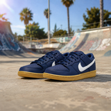 NIKE SB DUNK LOW PRO