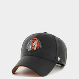 CHIACGO BLACKHAWKS BALLPARK S